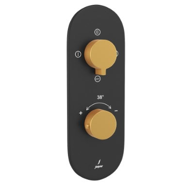 Picture of Aquamax Thermostatic Shower Mixer With 3-Way Diverter - Lever: Gold Matt PVD | Body: Black Matt