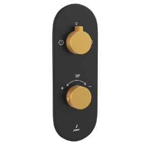 Picture of Aquamax Exposed Part Kit of Thermostatic Shower Mixer with 2-way diverter - Lever: Gold Matt PVD | Body: Black Matt