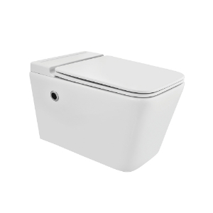 Picture of Tankless Wall Hung WC