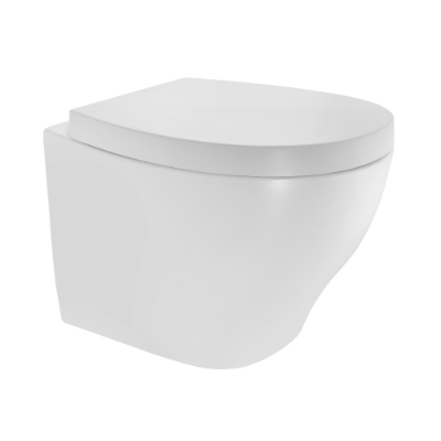 Picture of Rimless, Blind Installation Wall Hung WC - White Matt