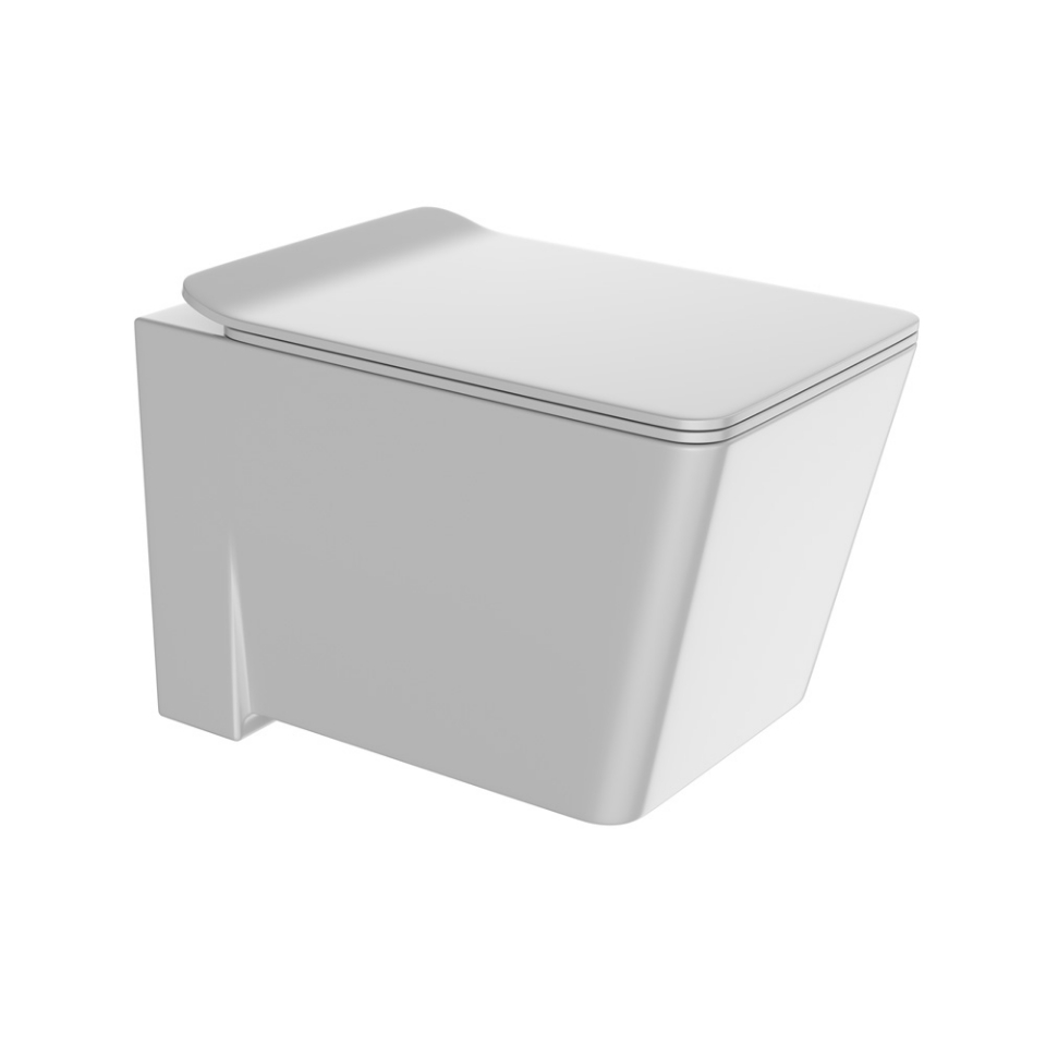 Picture of Rimless Blind Installation Wall Hung WC