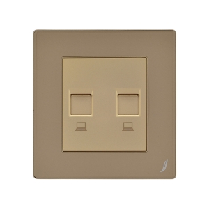 Picture of Double Computer Socket - Gold