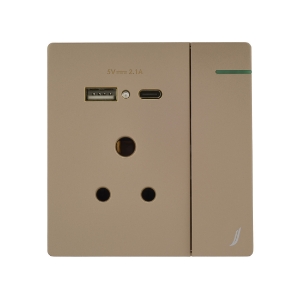 Picture of Three Pin Socket With Indicator And Big Switch And One Usb And One Type-C - Gold