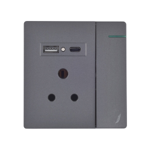 Picture of Three Pin Socket With Indicator And Big Switch And One Usb And One Type-C - Grey