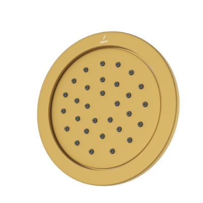 Picture of Body Shower ø120mm Round Shape - Gold Matt PVD