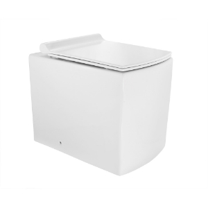 Picture of Rimless Back To Wall WC