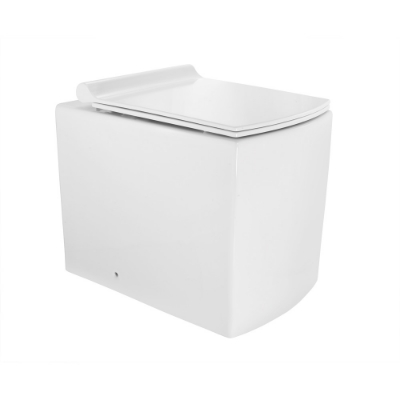 Picture of Rimless Back To Wall WC