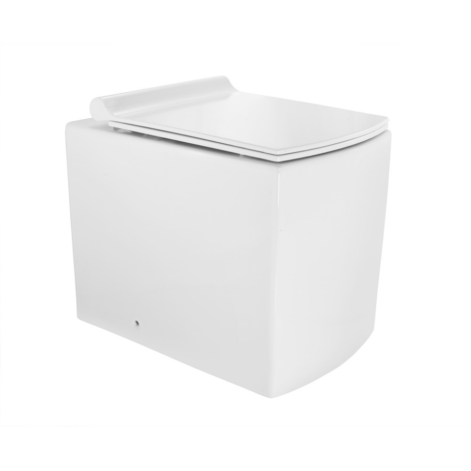 Picture of Rimless Back To Wall WC