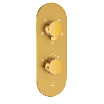 Picture of Aquamax Exposed Part Kit of Thermostatic Shower Mixer with 2-way diverter - Lever: Gold Bright PVD | Body: Gold Matt PVD