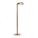 Goose Neck Spring Floor Lamp 
